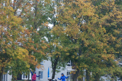 DSC_1155