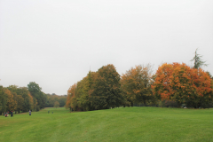 DSC_1261