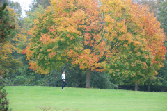 DSC_1311