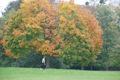 DSC_1312