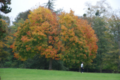 DSC_1314